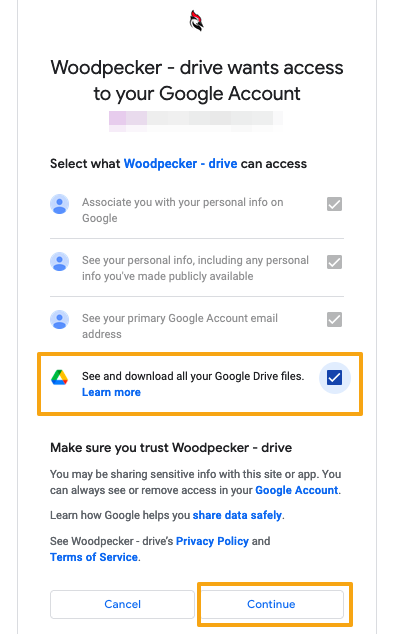 Image with the access page from Google